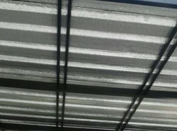 pe (ฟรอยด์)