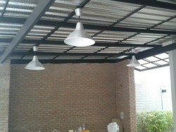 pe (ฟรอยด์)